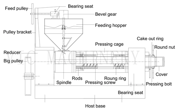 screw oil press machine screw oil press machine